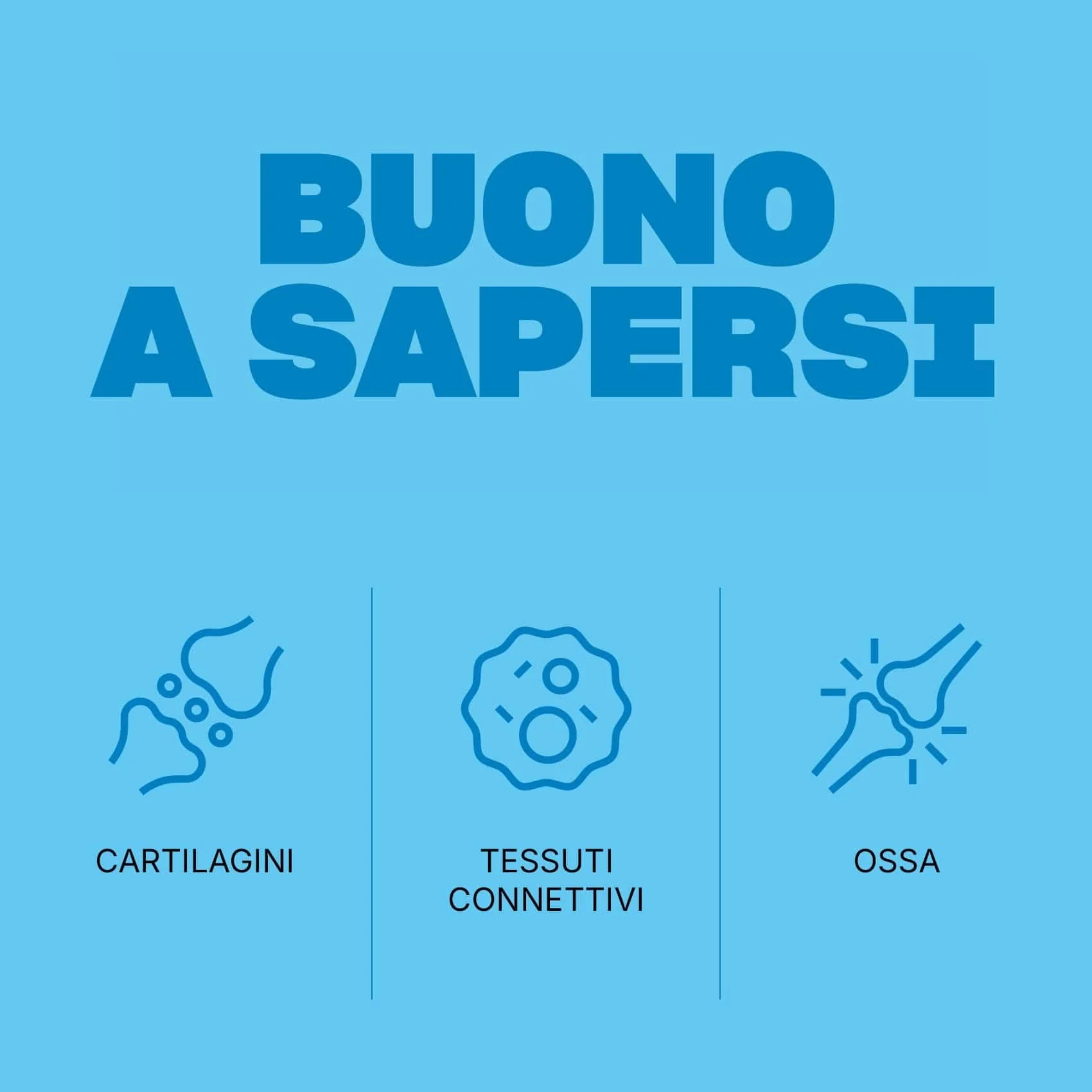 Immagine prodotto 6