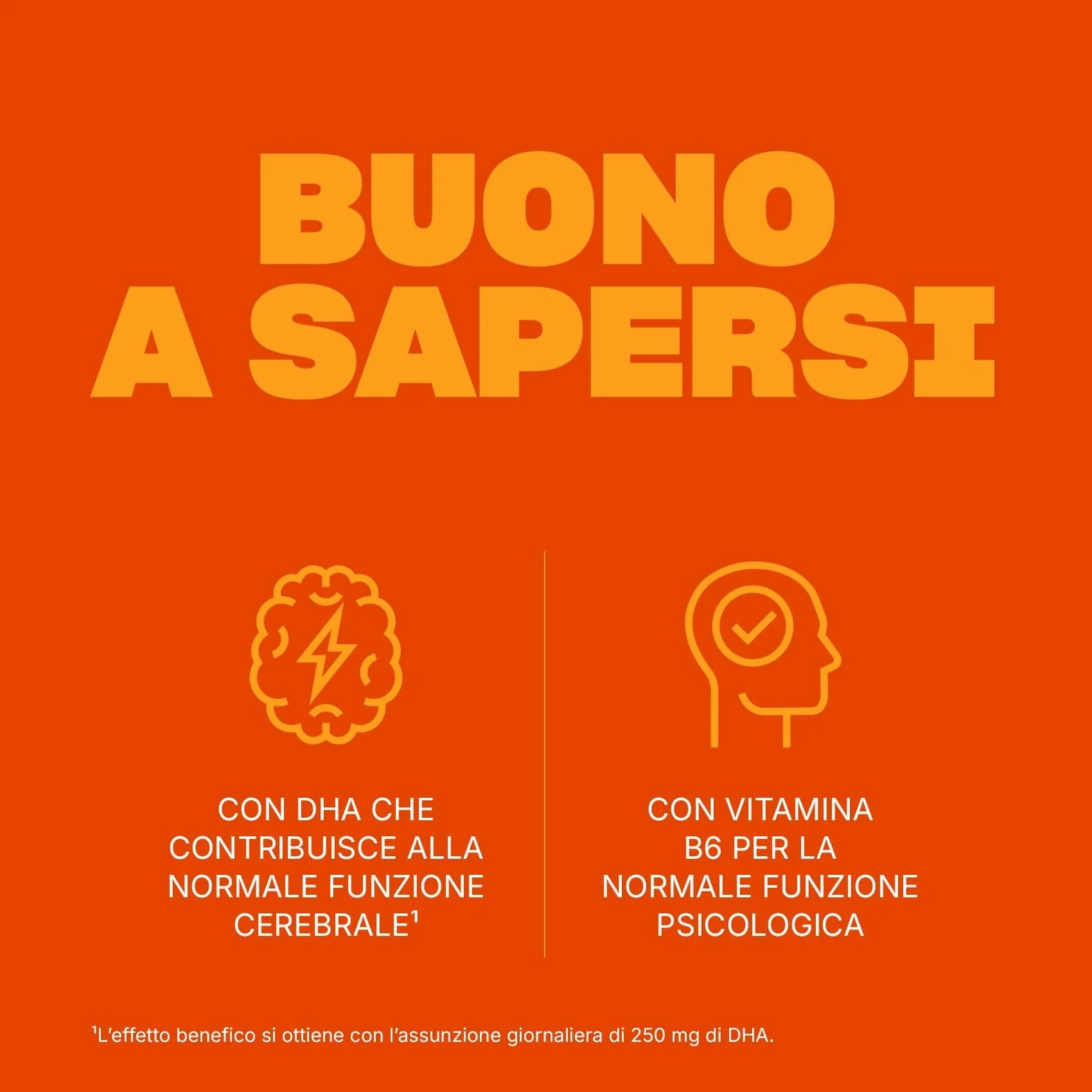 Immagine prodotto 6